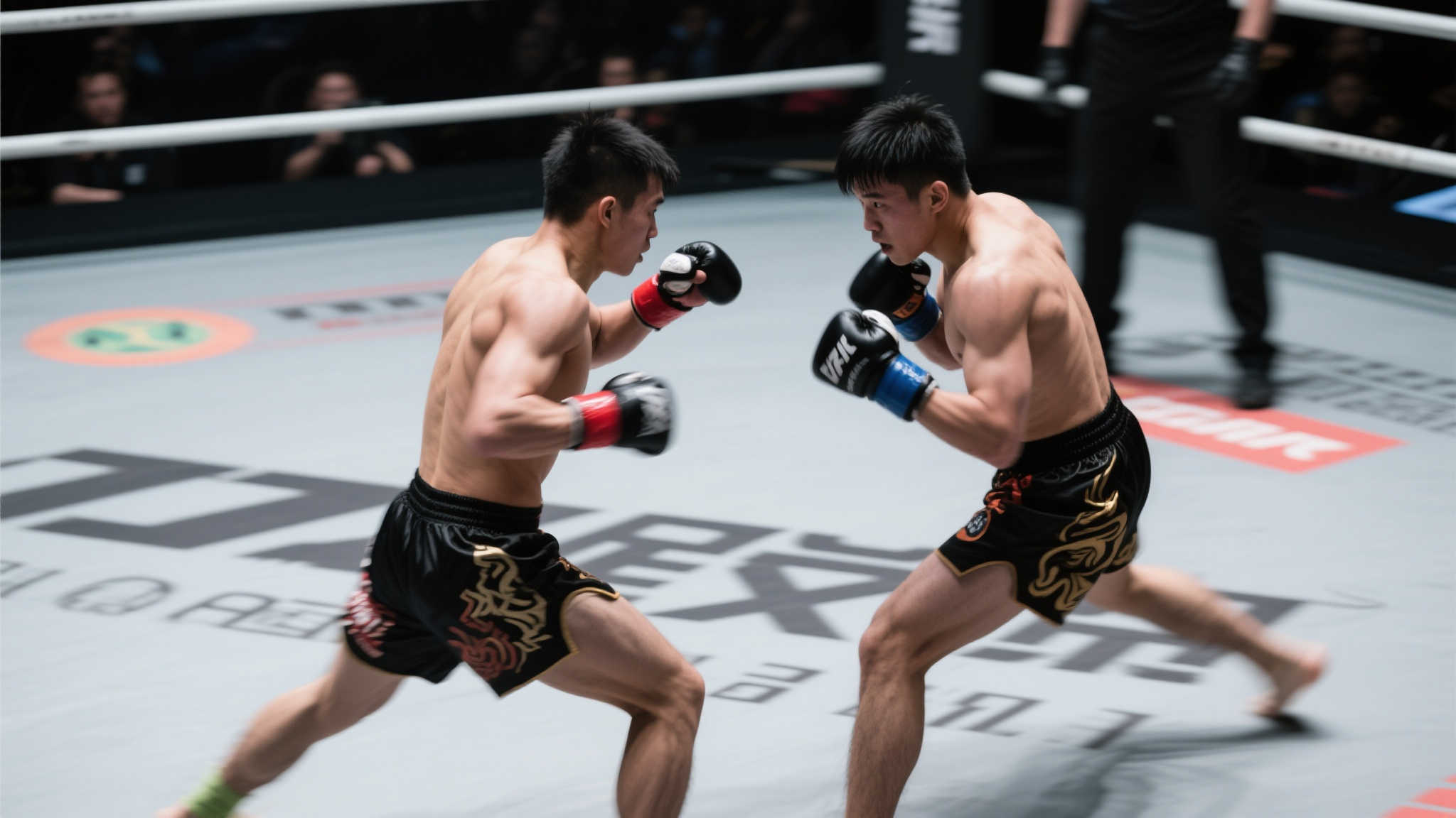 主教練在一 主教練在一